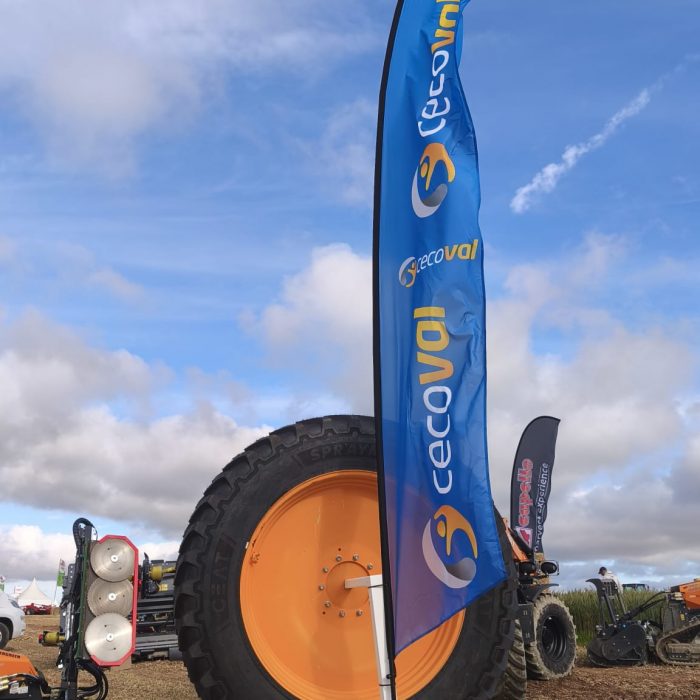 WhatsApp Image 2026-01-07 at 13.29.17